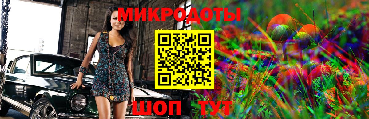 Псилоцибиновые грибы Psilocybe  Вход с VPN  Воскресенск 