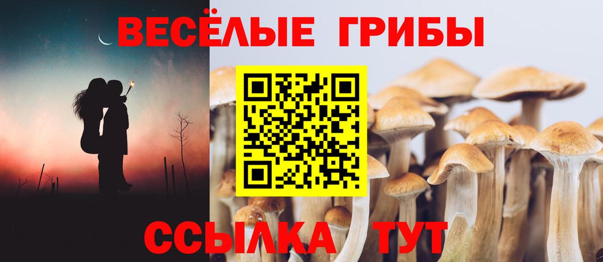Галлюциногенные грибы ЛСД Воскресенск